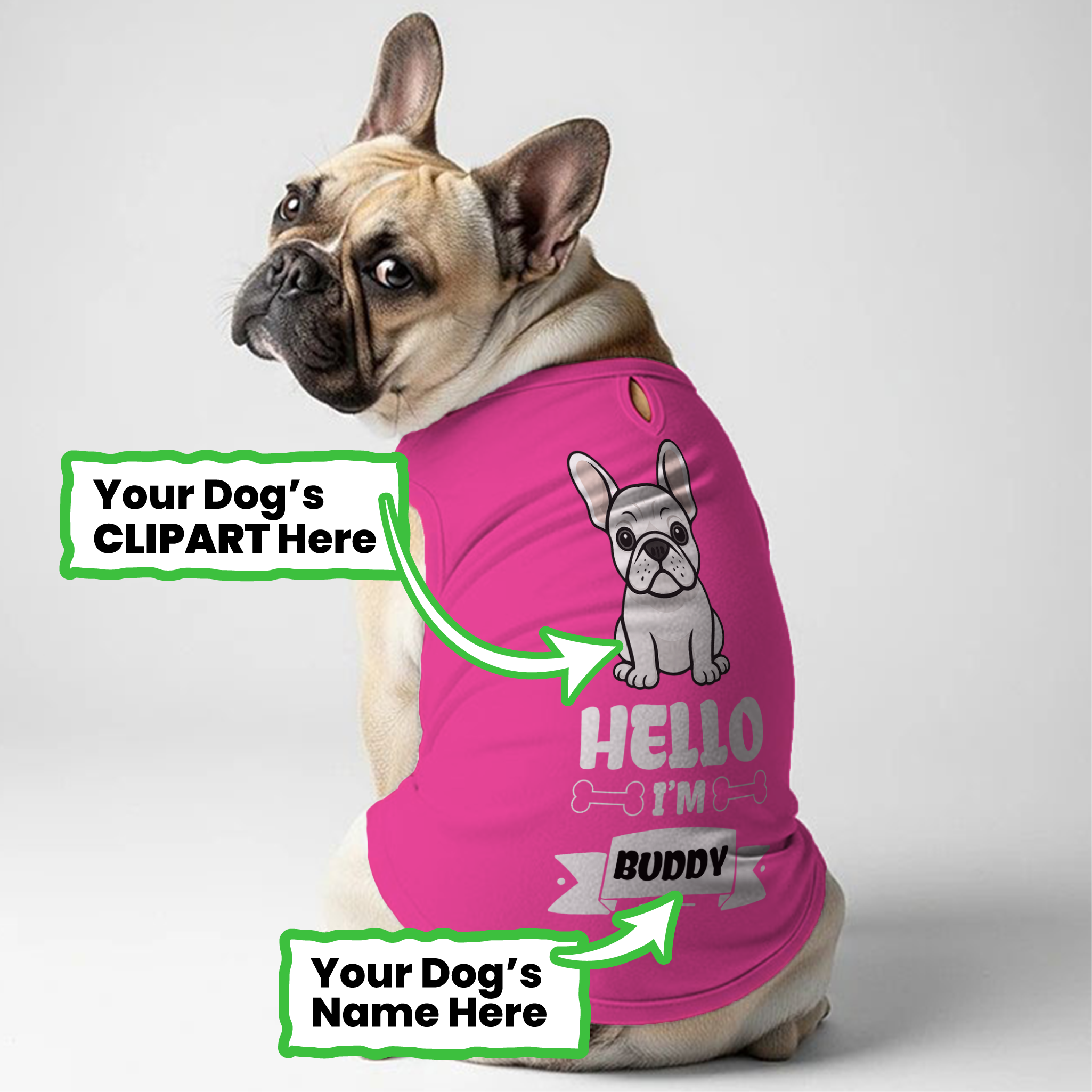 French Bulldog Hello Personalized Frenchie Shirt | Custom Dog T Shirt