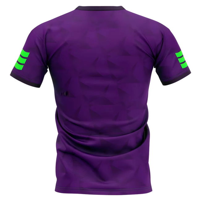 Team 2025-2026 Sanfrecce Hiroshima Home Concept Football Shirt