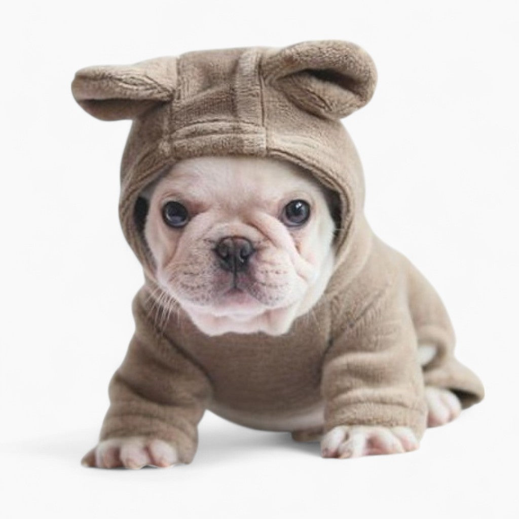 Trendy Not My Fault - Hoodie For Frenchie (cs8) for Fashion Lovers