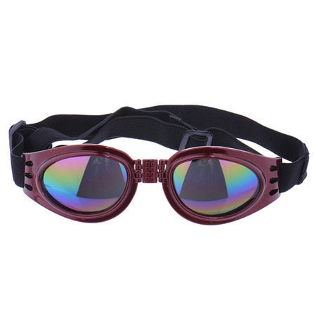 waterproof Goggles for Frenchies (WS04)