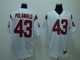 Men's None White 2024 authentic Polamalu White #43 breathable Jersey