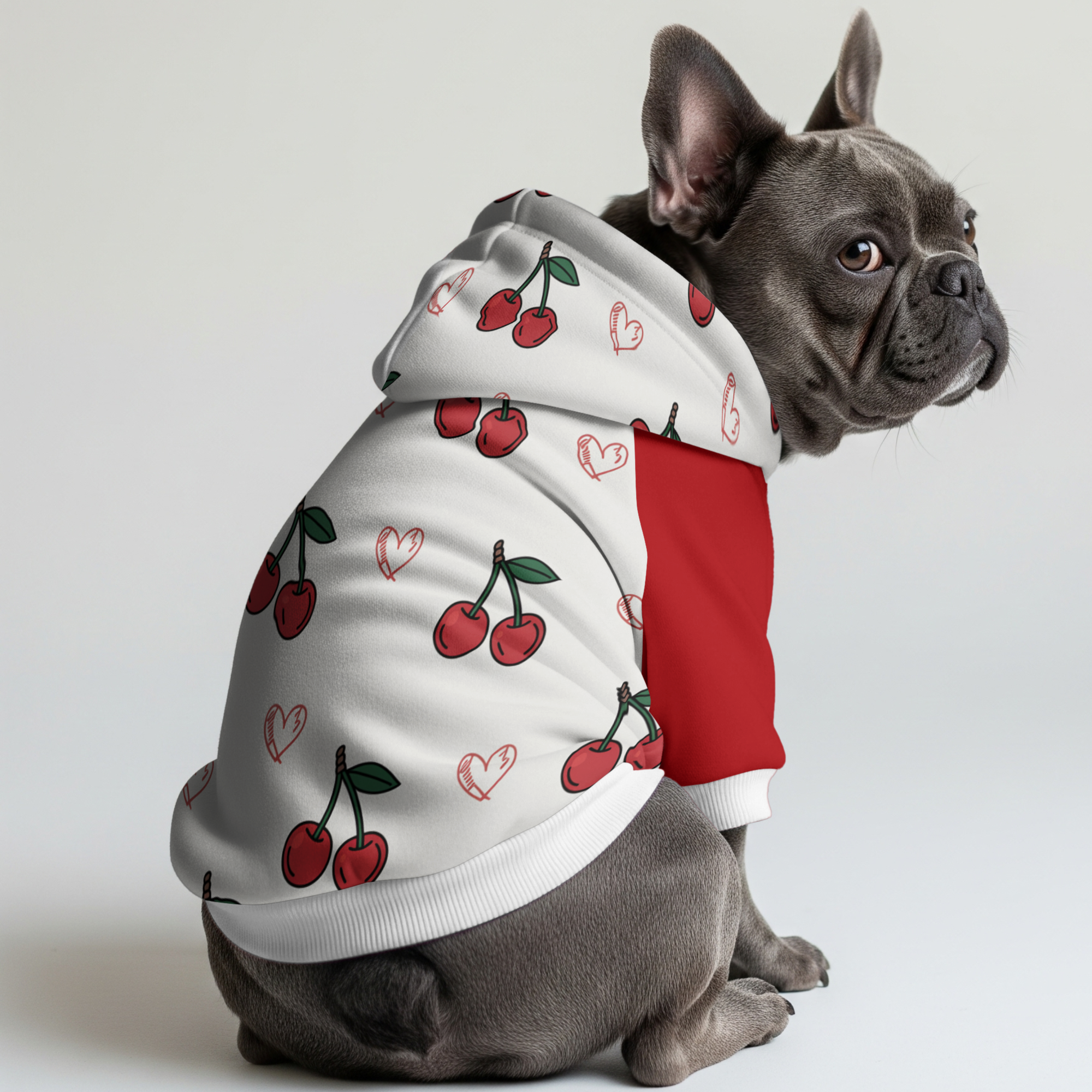 Street-Ready Cozy Queen - Frenchie Hoodie for Daily Life Durable