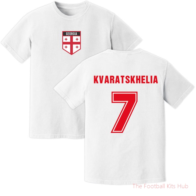 Men Kvaratskhelia Georgia Training Jersey (White)