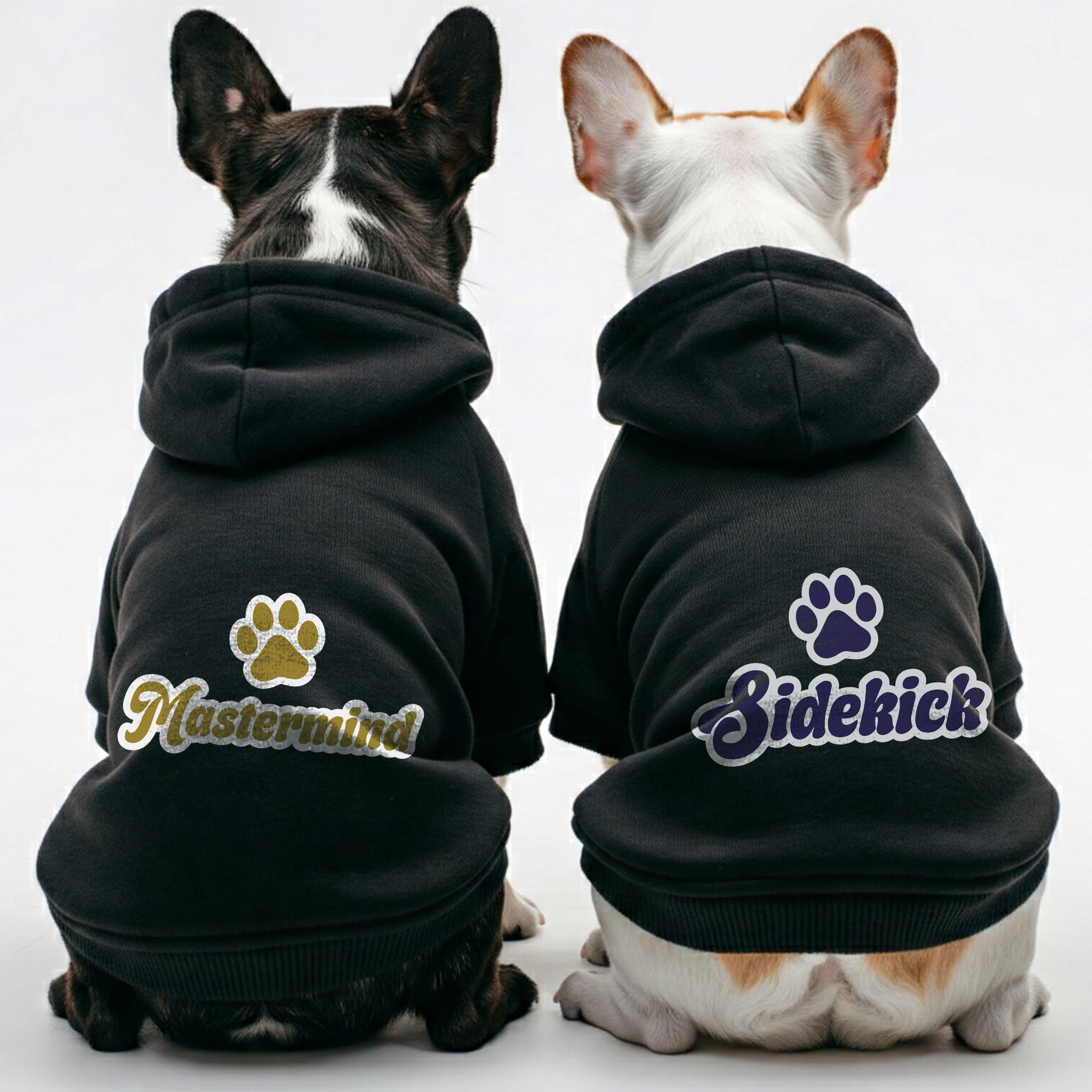 French Bulldog Mastermind And Sidekick Matching French Bulldog Hoodies