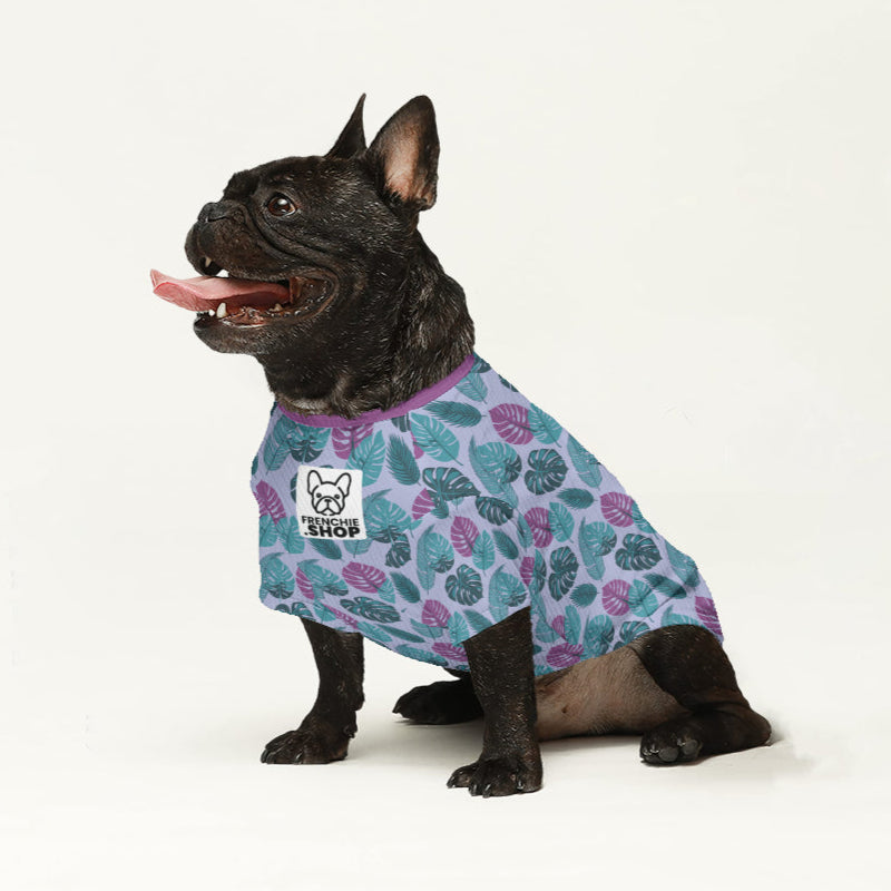French Bulldog Aggy Wool Sweater For Frenchies Durable Dog Clothes