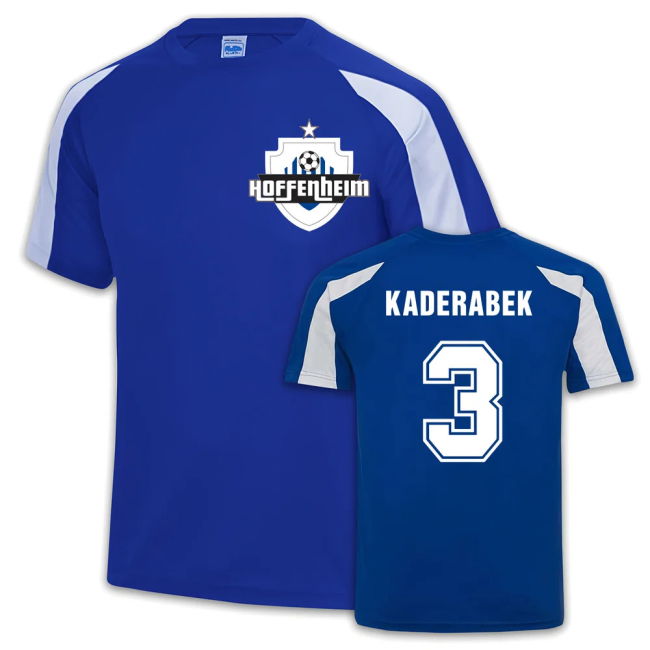 Replica 2025-2026 Hoffenheim Training With Vintage Design - Midfield