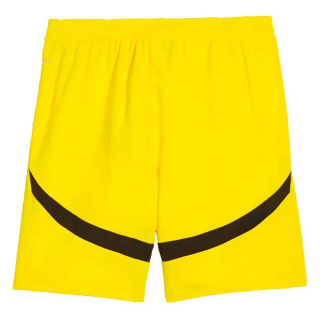 Borussia Dortmund 2024-2025 Away Football Jersey (Yellow)