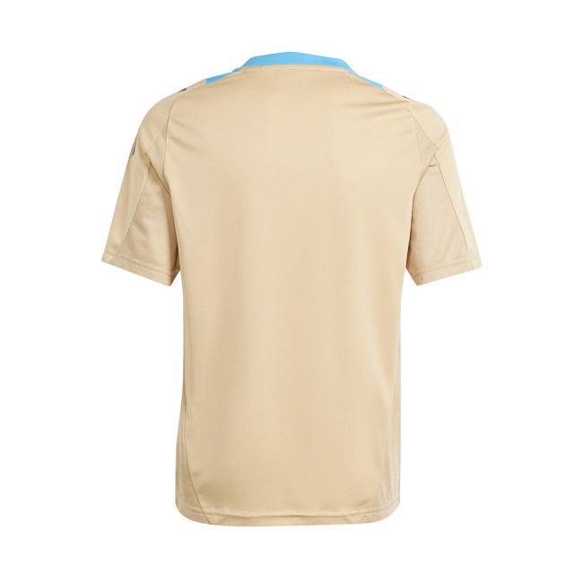 Exclusive-Design 2024-2025 Argentina Training Jersey (Hazy Beige)
