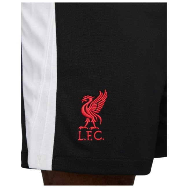 Liverpool Classic Third Jersey 2024-2025