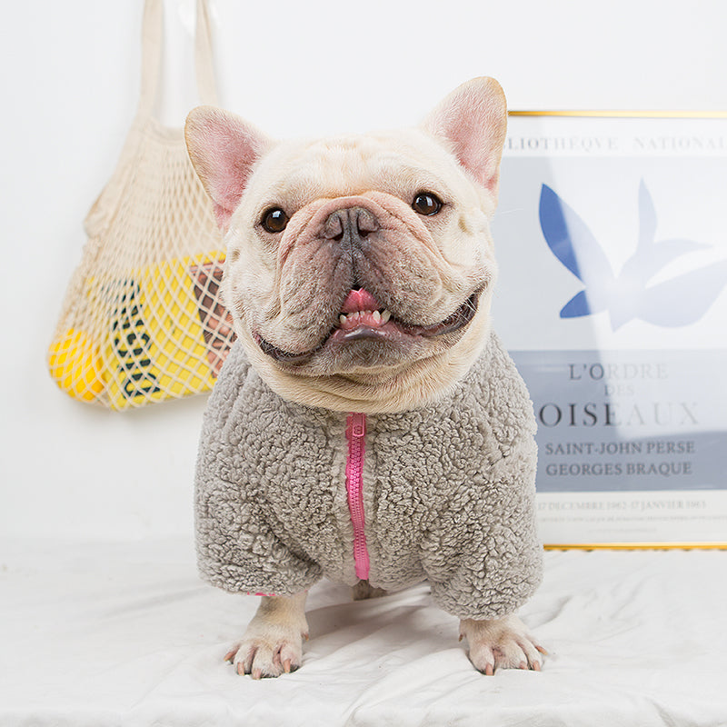 Winter Cloth For French Bulldog (wj12) Outdoor Use | Vet-recommended