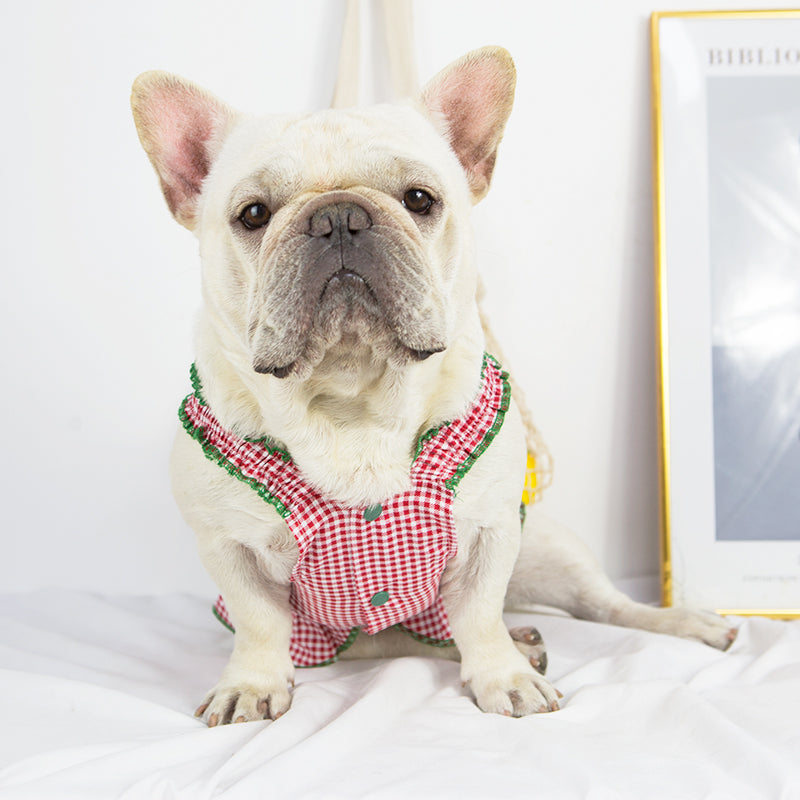 Safe Vest Skirt Frenchie Summer Dress (w318) Outdoor Use | Durable Build