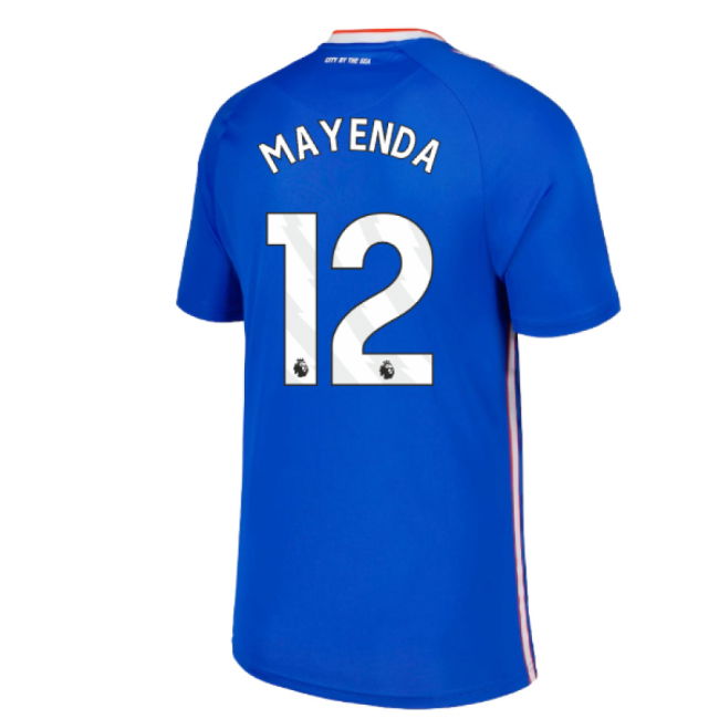 Sunderland Limited Edition Away Jersey 2025-2026 #83