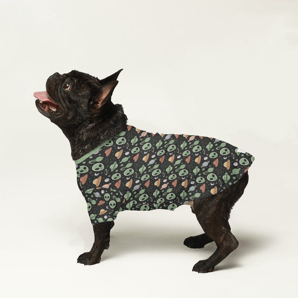 - Stylish Wool Sweater For Frenchies For Frenchie Fans | Premium Quality