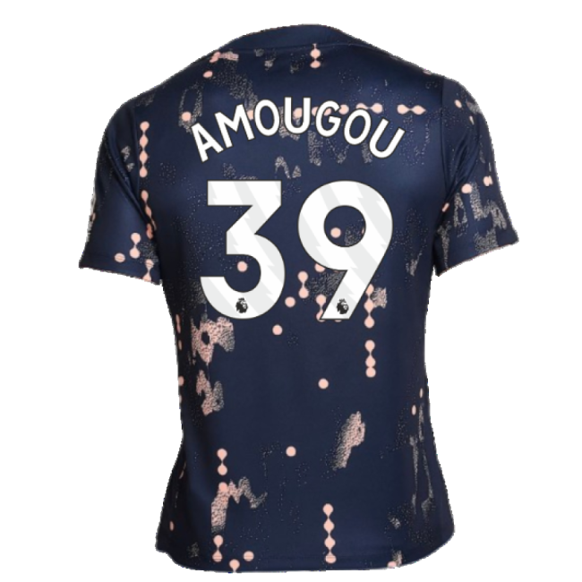 Chelsea 2024-25 Fan Version For Adults (Amougou Soccer Jersey