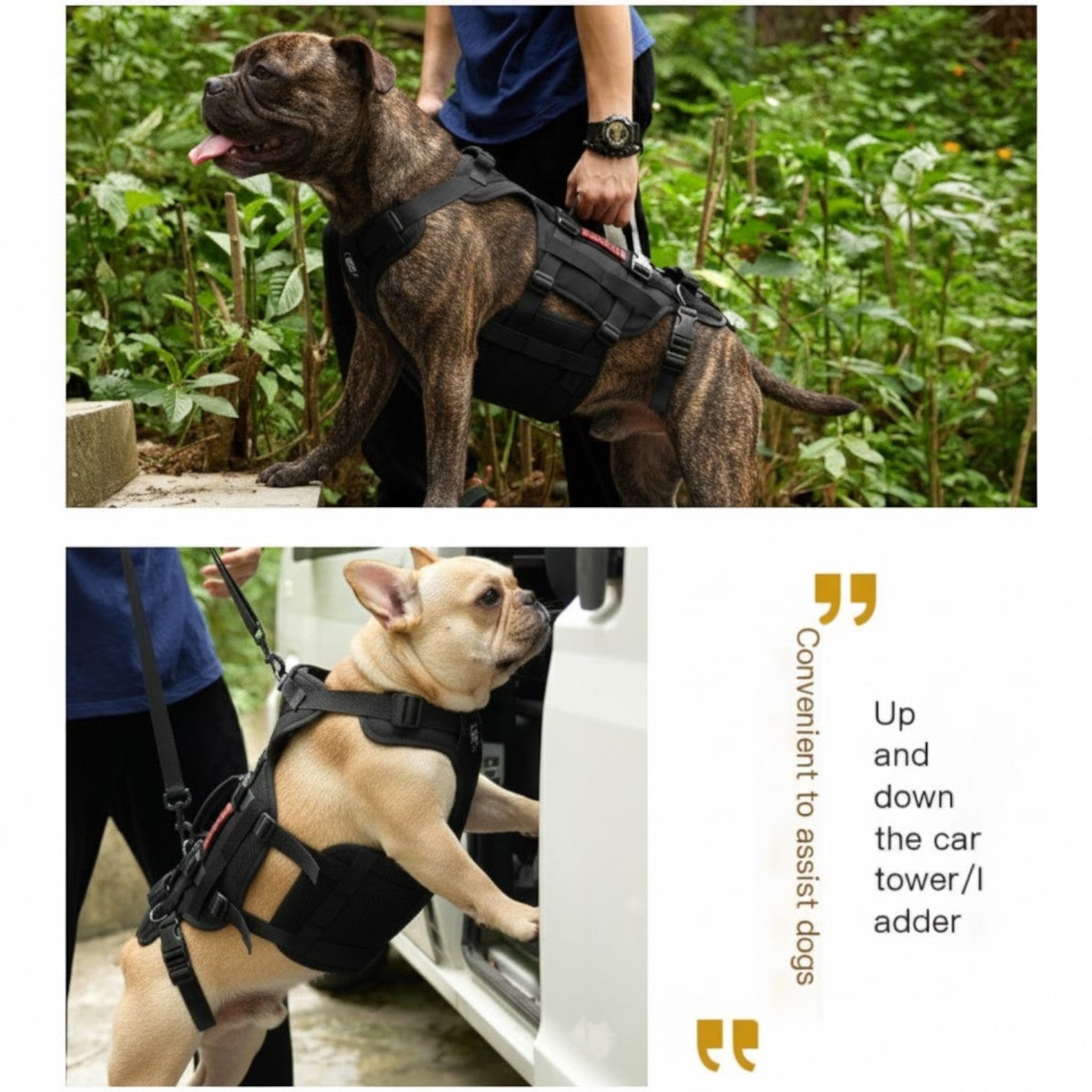 French Bulldog Frenlift™ Frenchie Support Harness – Heavy Duty Walking