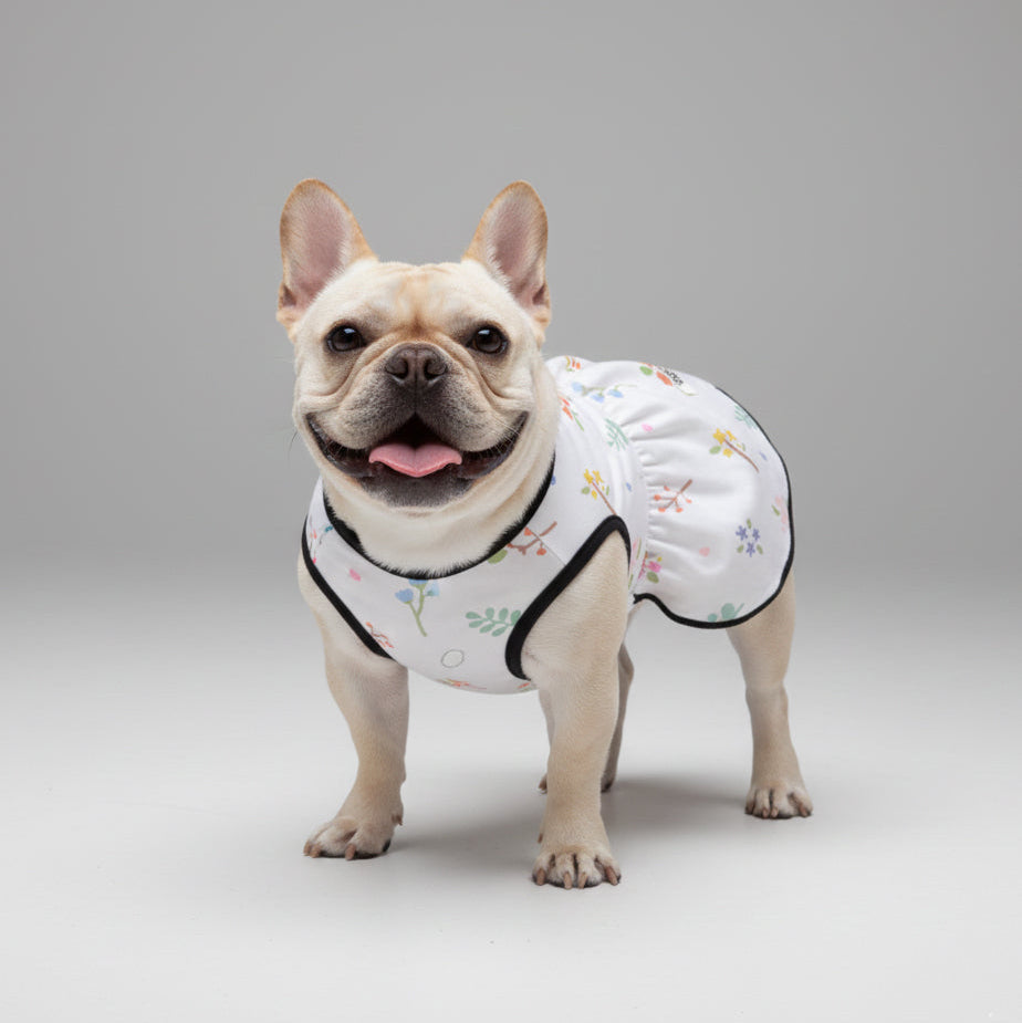 Everyday Hazel - French Bulldog Dresses For Females for Everyday Wear
