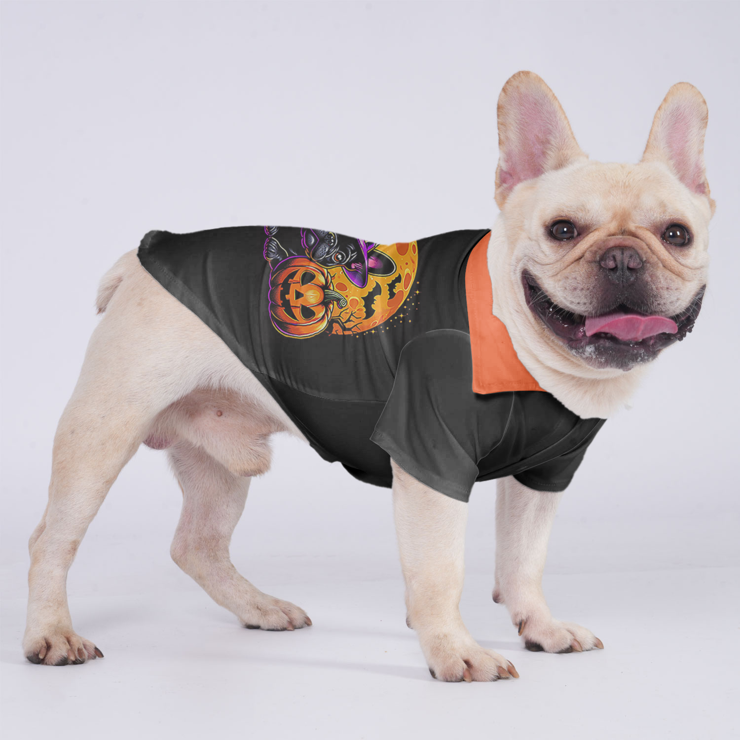 Culture-Inspired Charlie - Hawaiian Shirt For Frenchies for Dog Owners