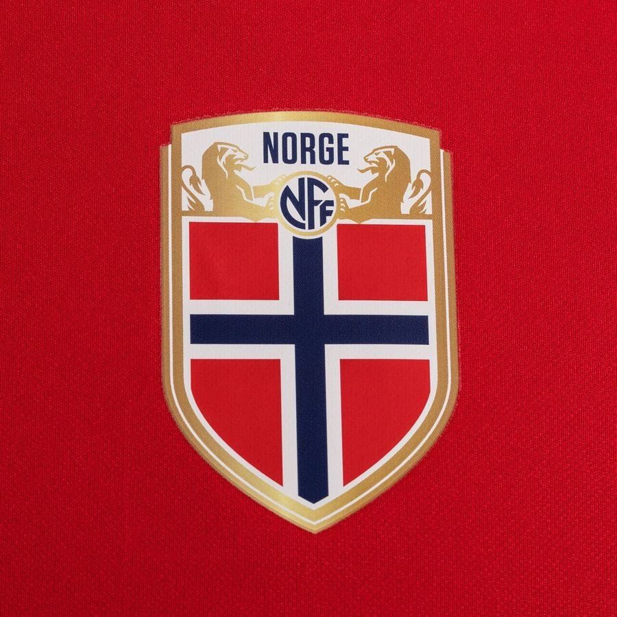 Norway Nike Training T Shirt Red Kids Supporter Version