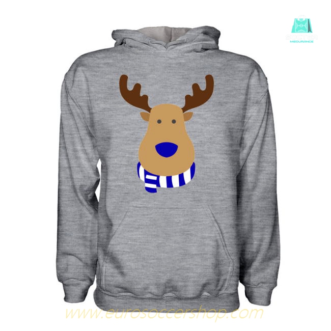 Hoffenheim Rudolph Supporters Hoody (grey)