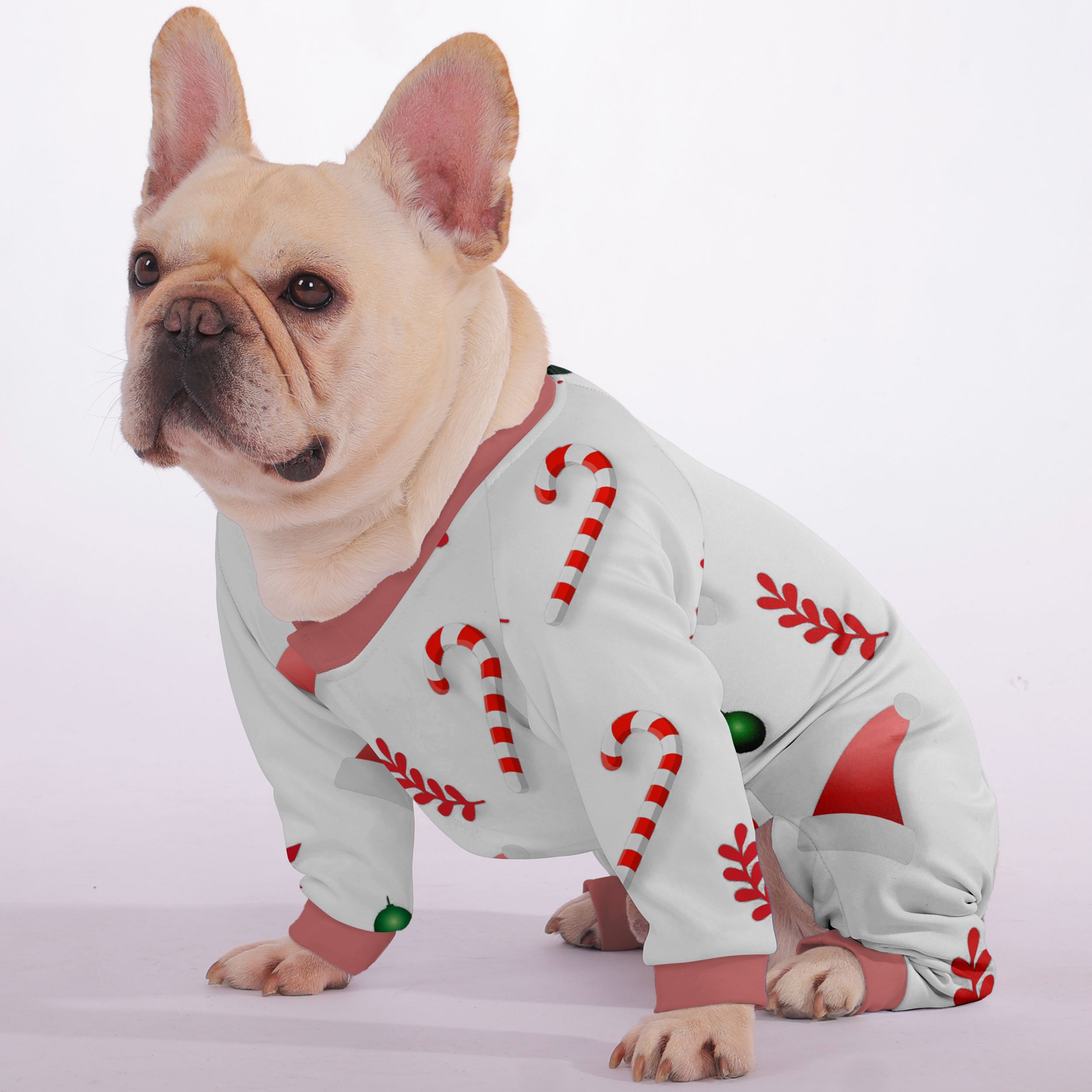 Pet-Lover Comfortable Zen - Frenchie Pajama for Daily Life Premium
