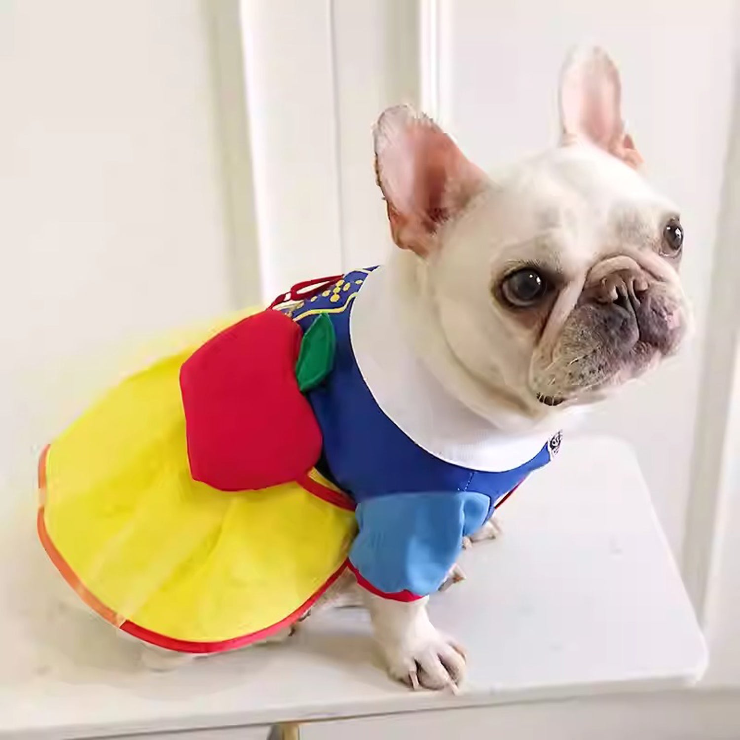 Costume – Cute Princess Dress With Apple Backpack For French Bulldogs