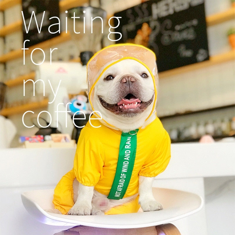 Jaketly™ Frenchie Fashion Dinosaur Raincoat