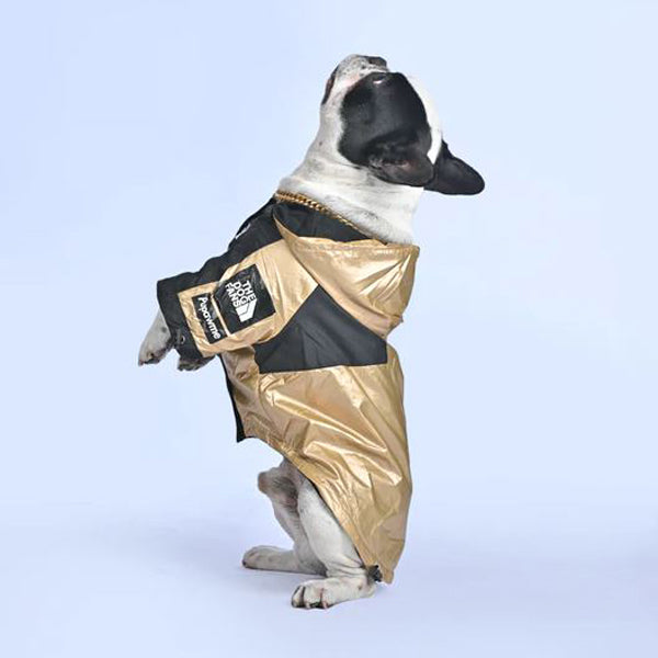 Minimal-Aesthetic Warmex™ - Frenchie Luxury Raincoat (wl07) for Dog