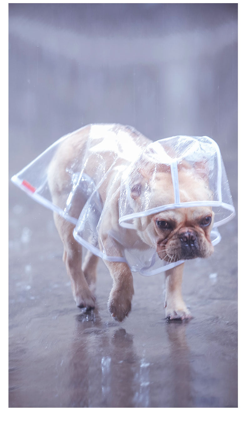 French Bulldog Raincoat (CS3)