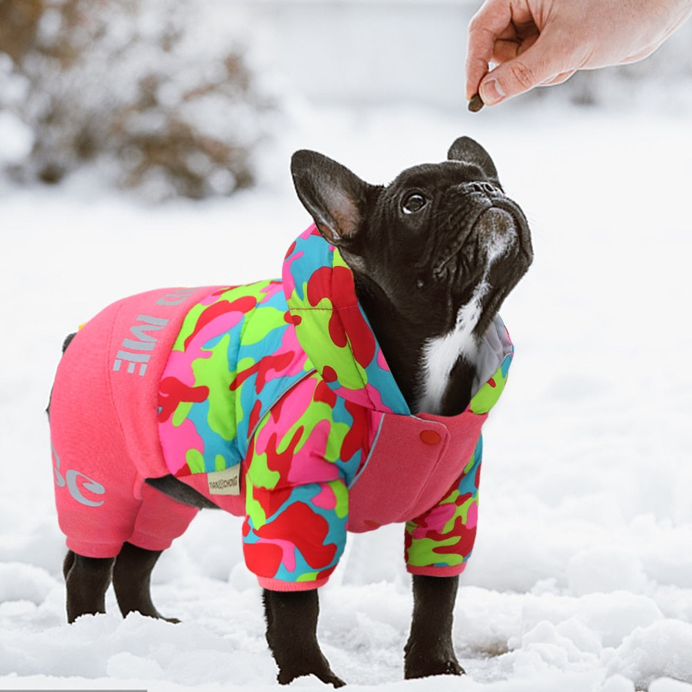 - Comfortable Winter Jumpsuits For French Bulldog (ws302) Winter Wear