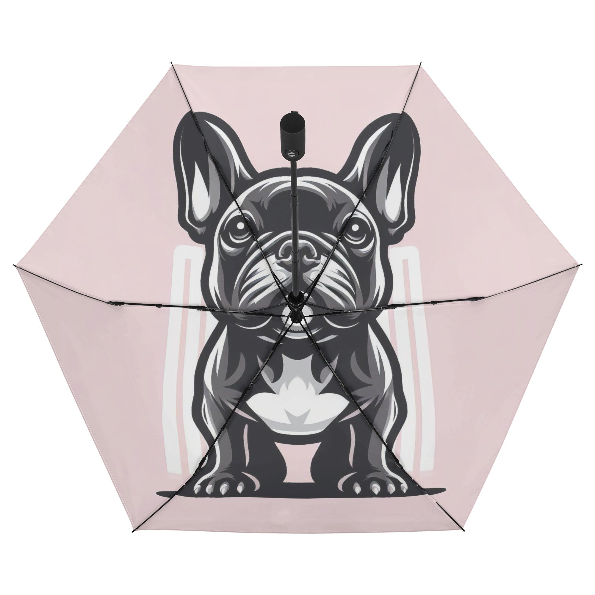 Street-Ready Pet-Lover Ivy - Umbrella for Fashion Lovers