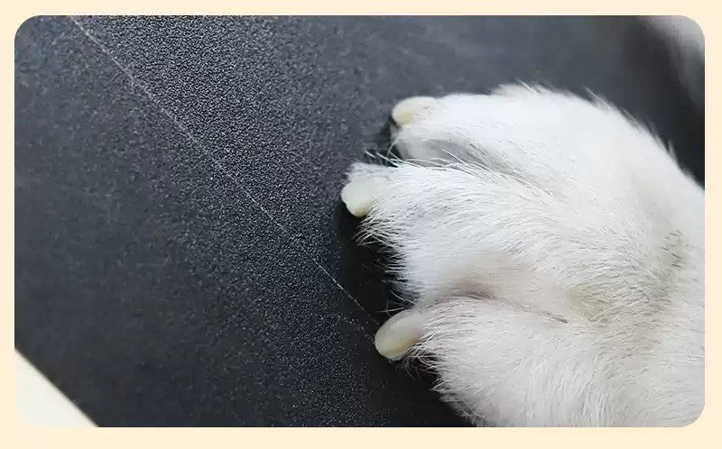 French Bulldog Self Grooming Nail Board For French Bulldogs – Safe And