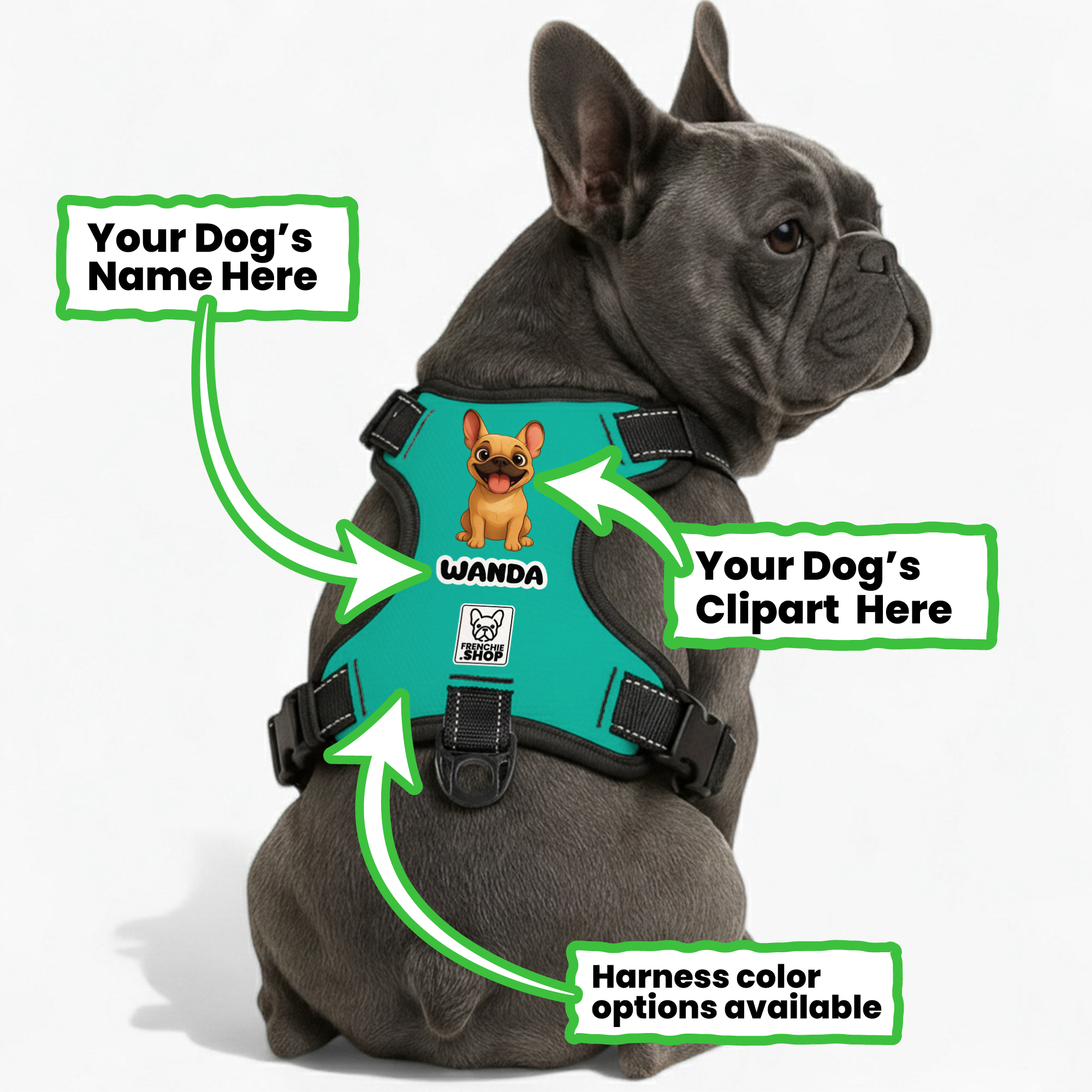 - Warm Personalized No-pull French Bulldog Dog Harness Paw Protection