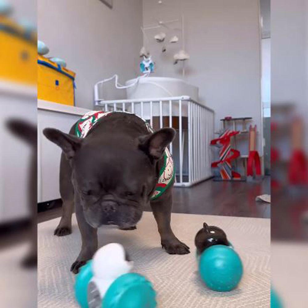 Furbuddy - Durable Interactive Treat Tumbler Indoor Use