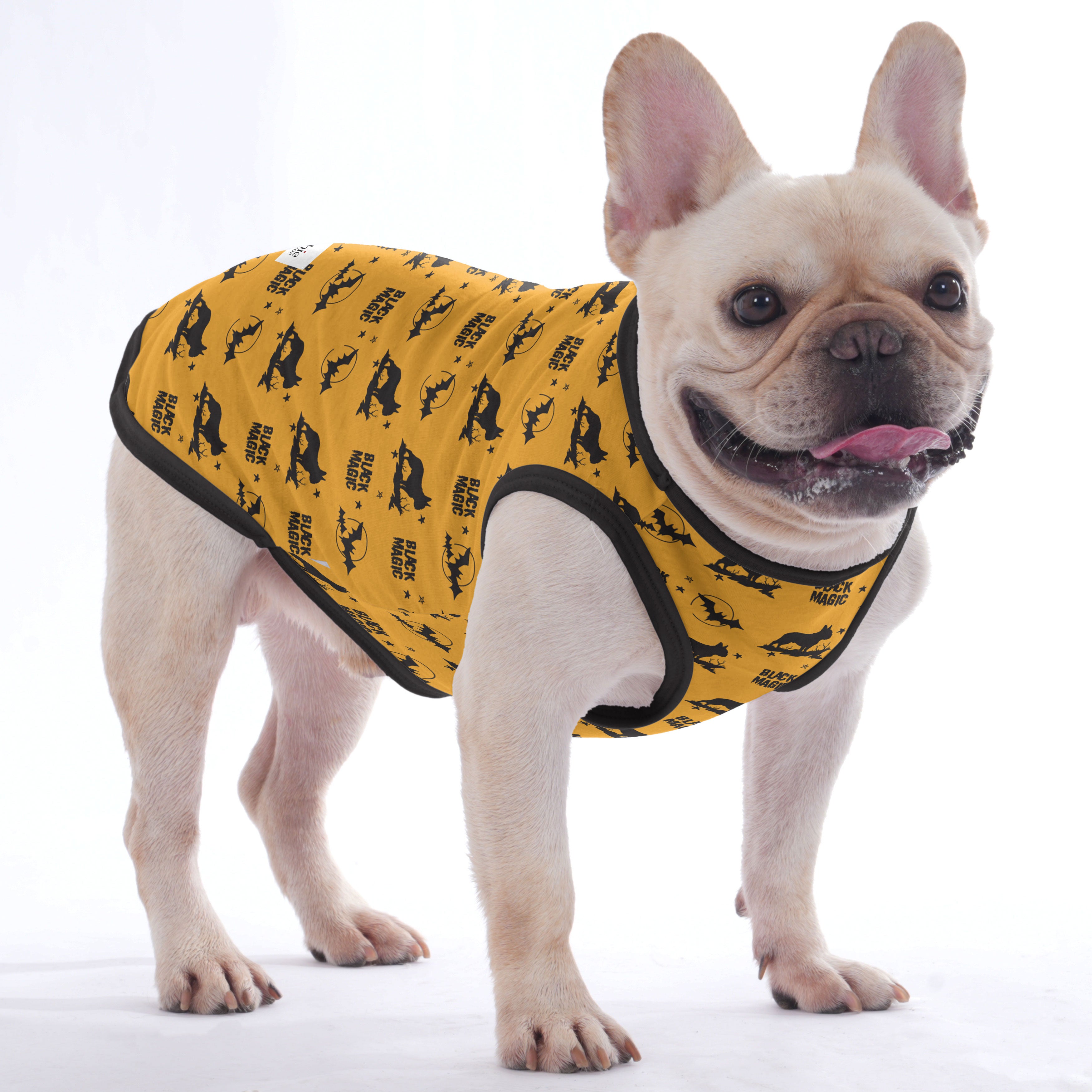 Cozy Periwinkle - Halloween Shirt For Frenchies - Frenchie Shop Origi...