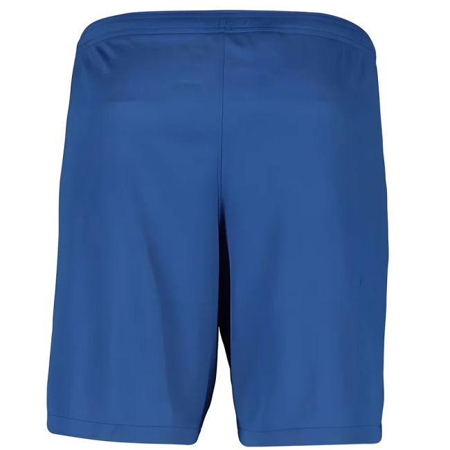 Barcelona Nike 2019-2020 Home Shorts - (Adult