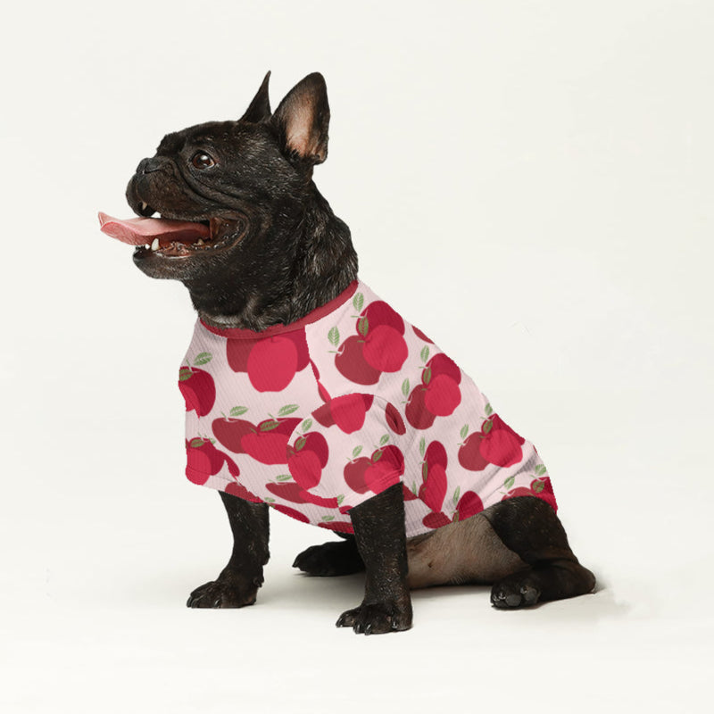 Dude - Stylish Wool Sweater For Frenchies Indoor Comfort | Durable Build