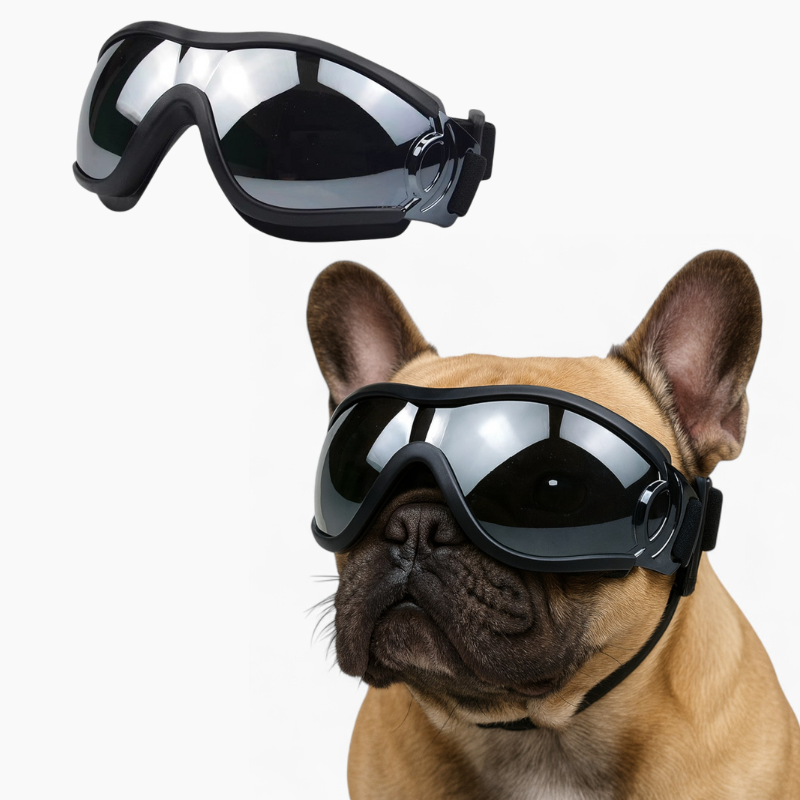 Premium Pawvue French Bulldog Goggles – Windproof Uv Protection Dog S...