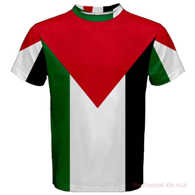 Men Palestine Flag Sublimated Sports Jersey