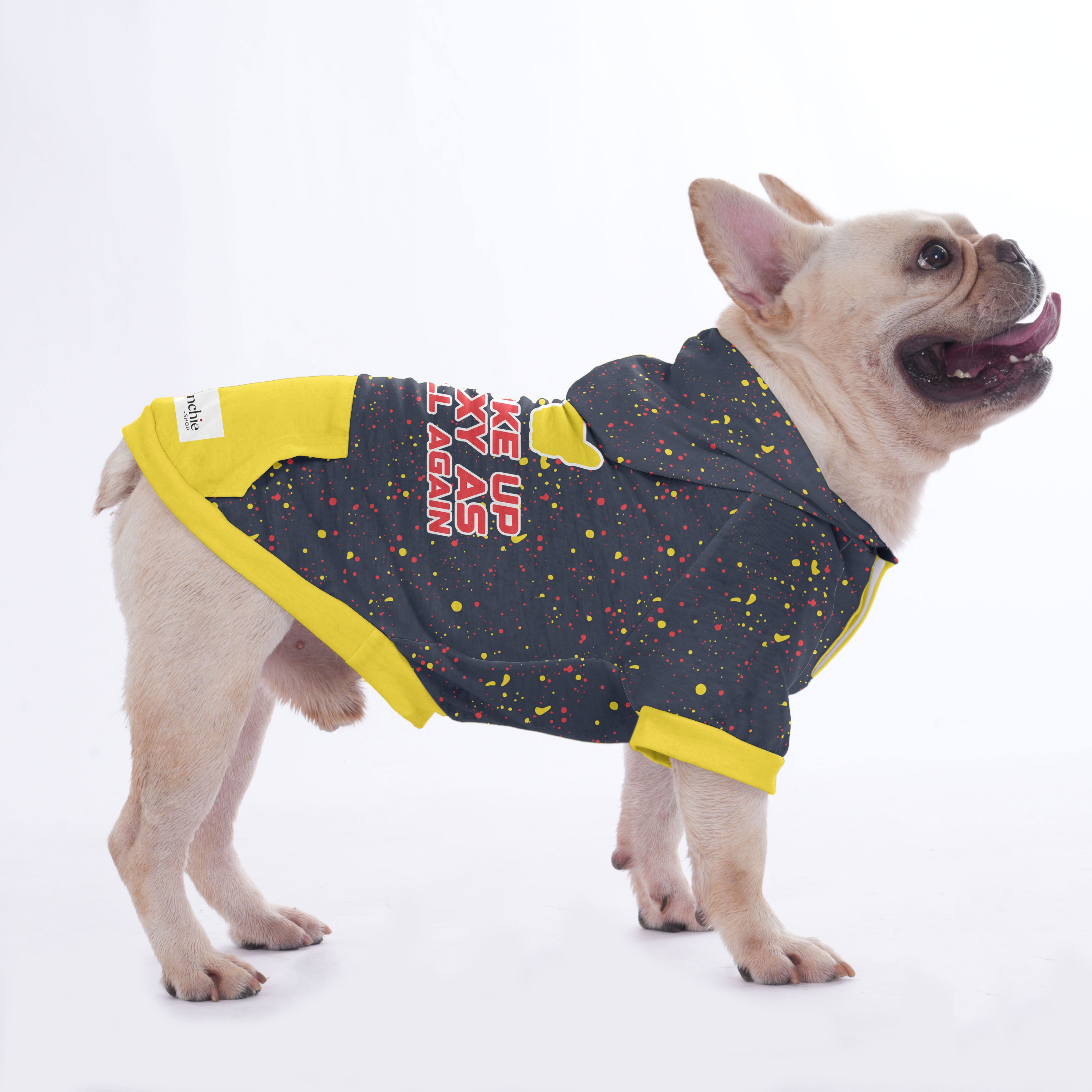 For French Bulldog | Frenchie Shop Original Everyday Use | Stylish Look