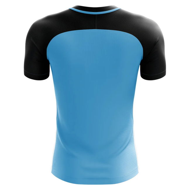 Championship 2025-2026 Botswana Home Concept Football Shirt - Womens