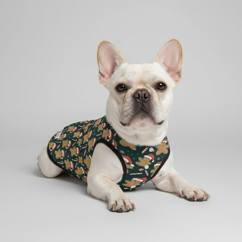 - French Bulldog French Bulldog Dresses For Females Paw Protection
