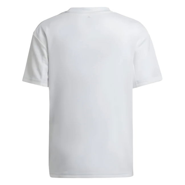 Olympique Lyon Pro Home Jersey 2022-2023