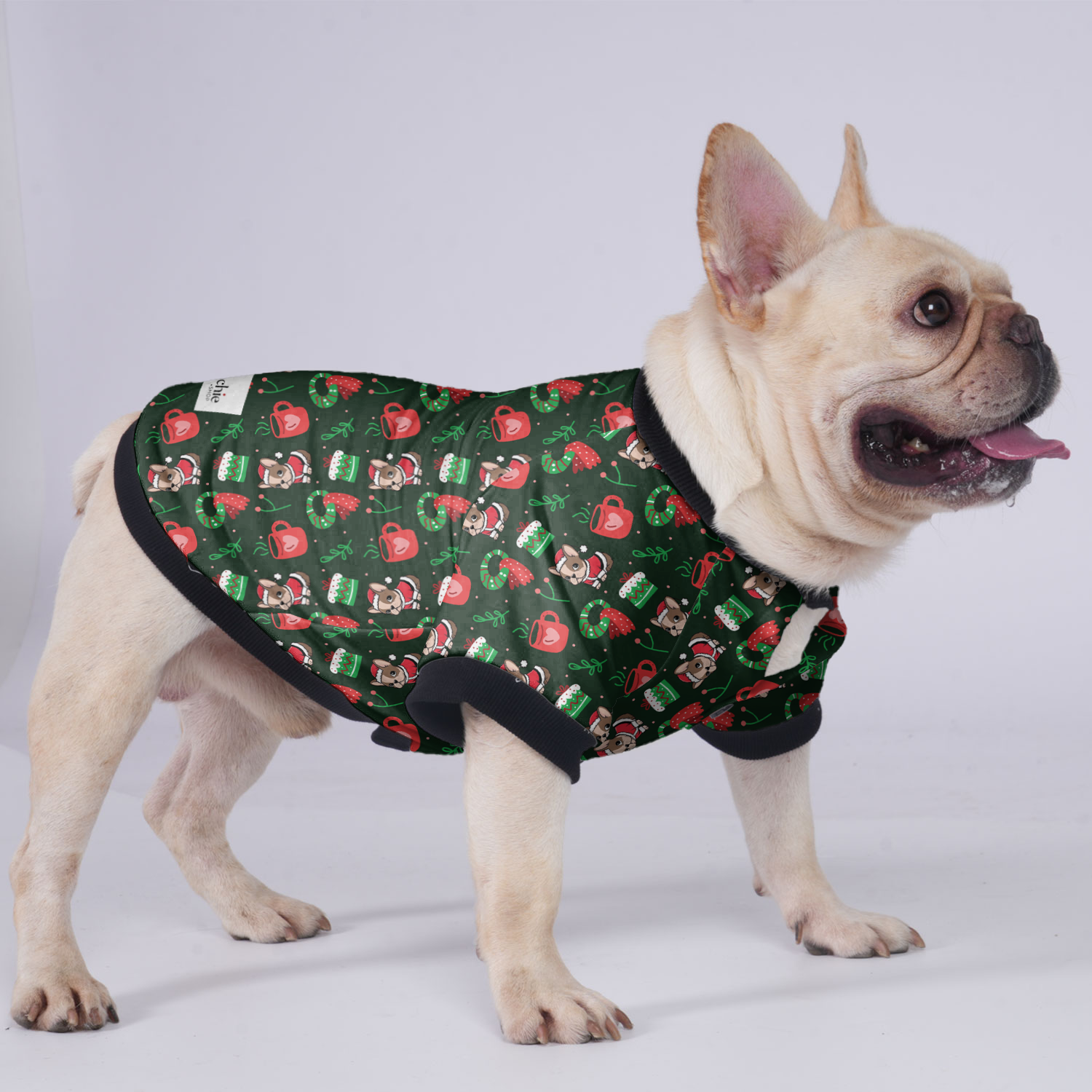 Frenchie-Fan Cutie - Jacket For French Bulldog for Daily Life Premium