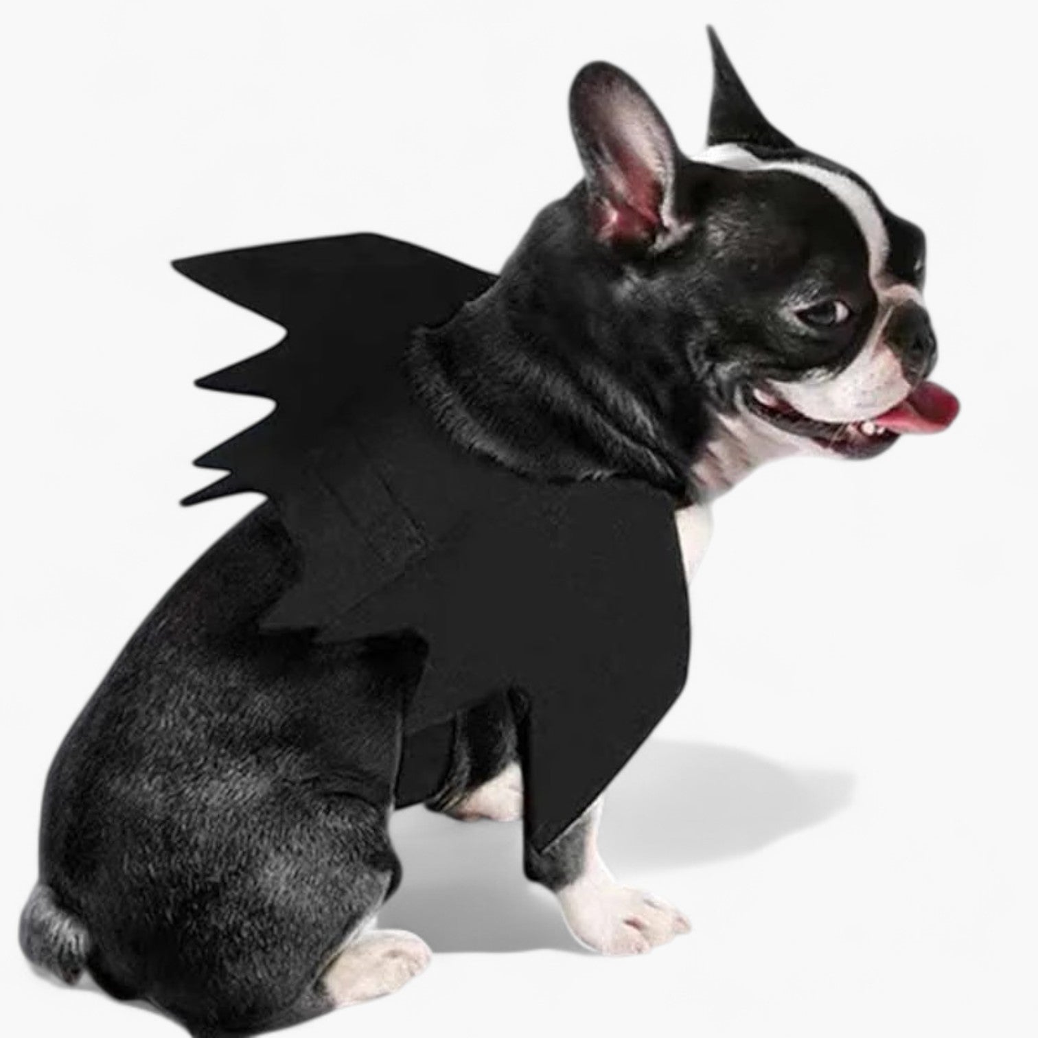 NoctiBull Frenchie Bat Wing Costume – Halloween Wings Dog Costume