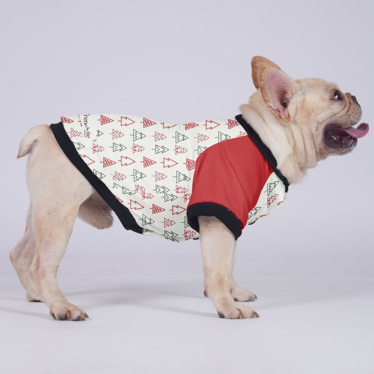 Durable Trendy Rocky - Jacket For French Bulldog for Home Use Stylish