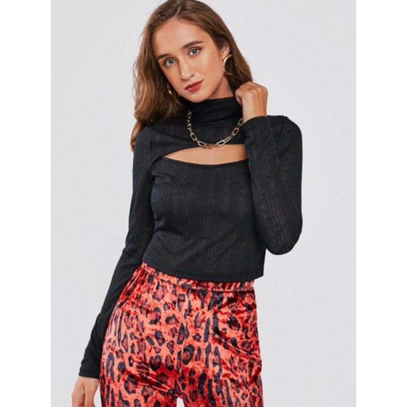 Cutout High Neck Semi Sheer Knit Tee DM9221