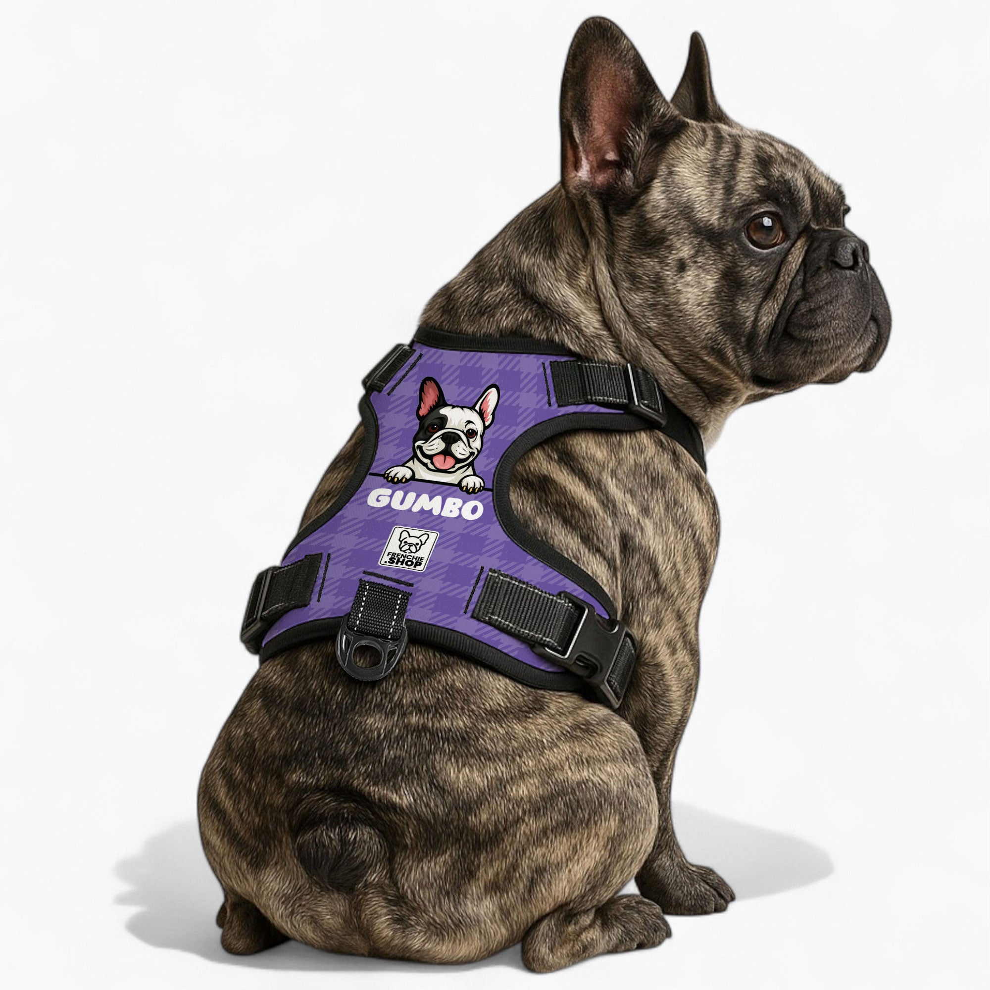 French Bulldog Jaq Personalized No Pull French Bulldog Dog Harness Practical Dog Gear