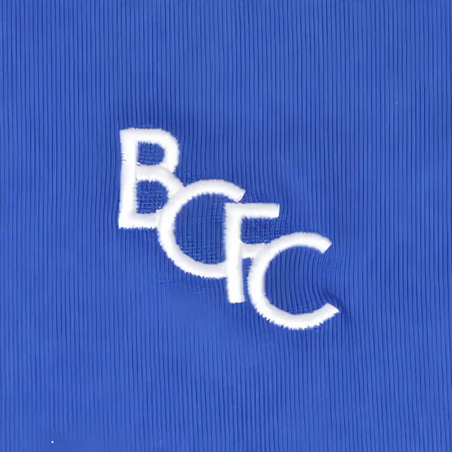 Birmingham Home Football Shirt 2020-26 Season Birmingham City Trevo...