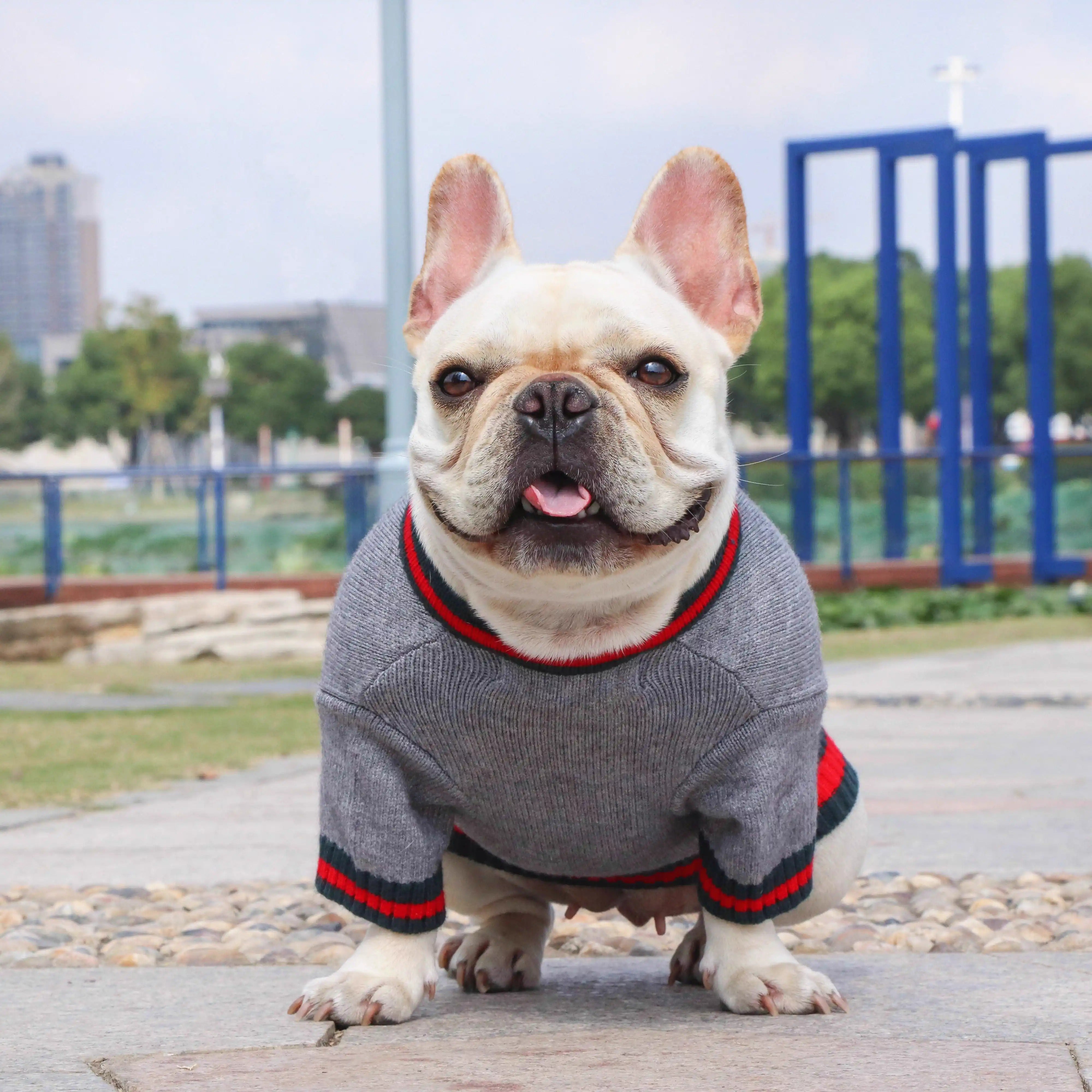 Lifestyle-Driven Frenchie Knit Pullover Sweater - Black With Red Ribb...