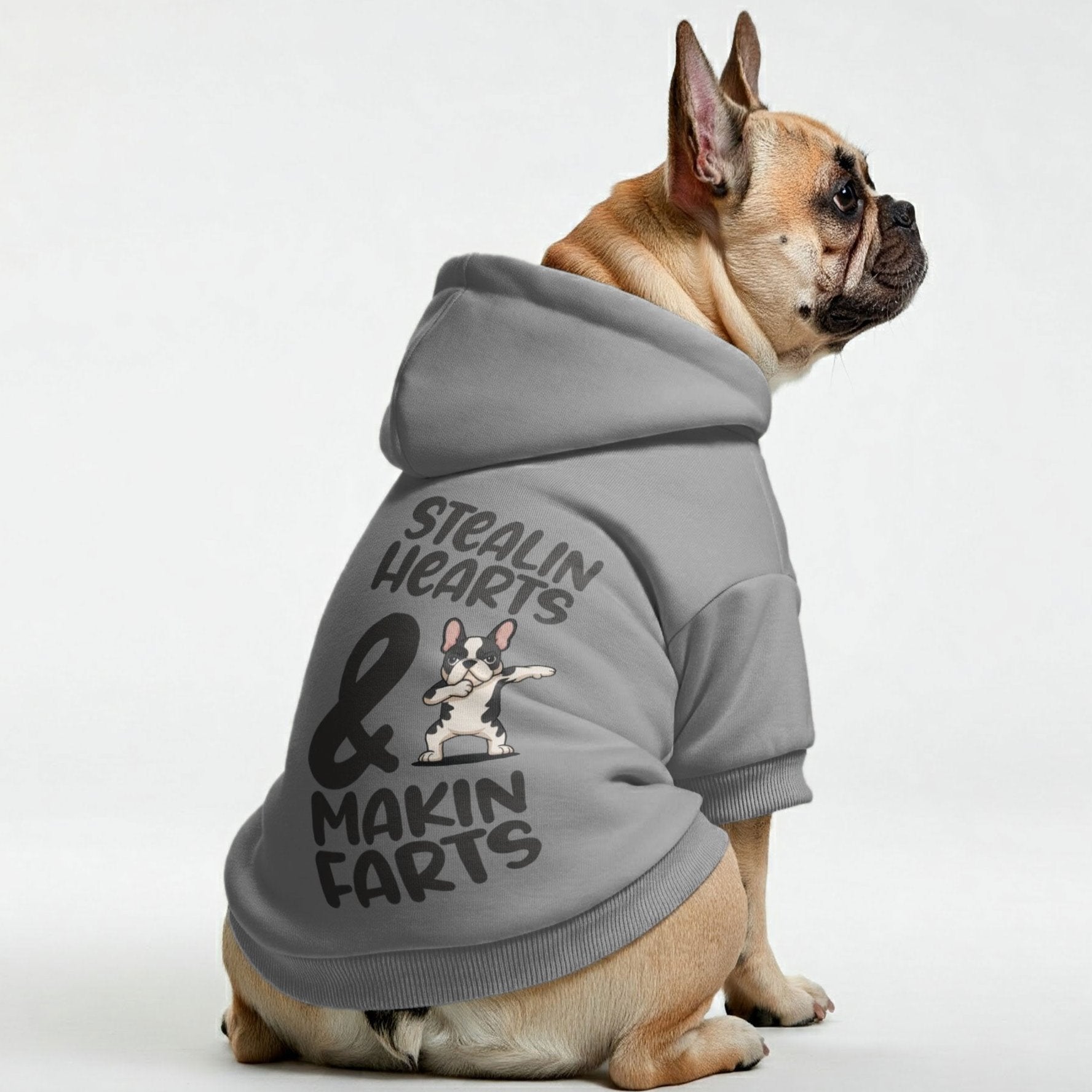 Trendy Makin Farts - Personalized French Bulldog Hoodies With Funny Q...